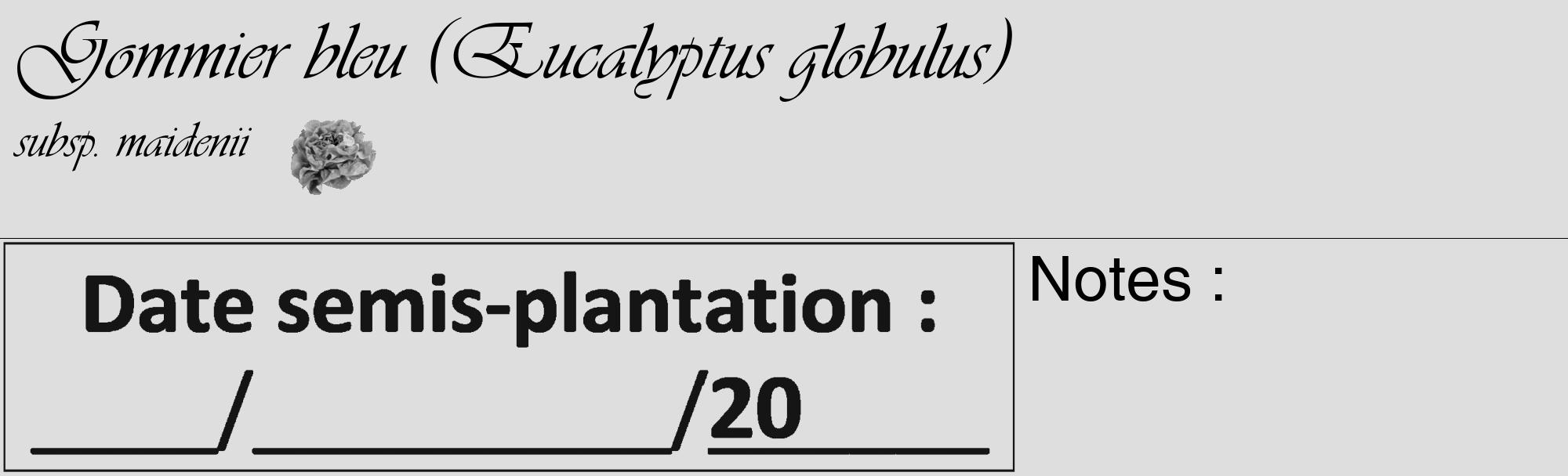 Étiquette de : Eucalyptus globulus subsp. maidenii  - format c - style noire20_basique_basiqueviv avec comestibilité simplifiée