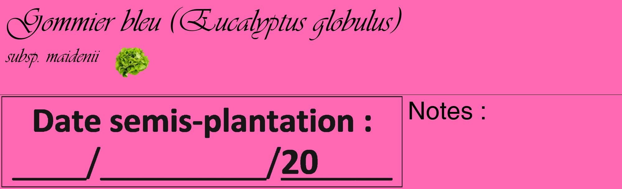 Étiquette de : Eucalyptus globulus subsp. maidenii  - format c - style noire42_basique_basiqueviv avec comestibilité simplifiée