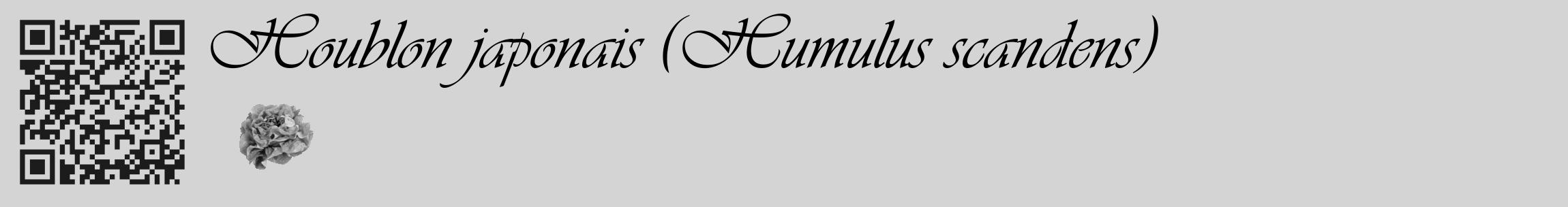 Étiquette de : Humulus scandens - format c - style noire40_basique_basiqueviv avec qrcode et comestibilité simplifiée