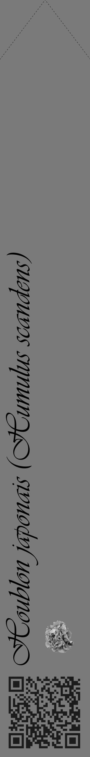 Étiquette de : Humulus scandens - format c - style noire3_simple_simpleviv avec qrcode et comestibilité simplifiée - position verticale