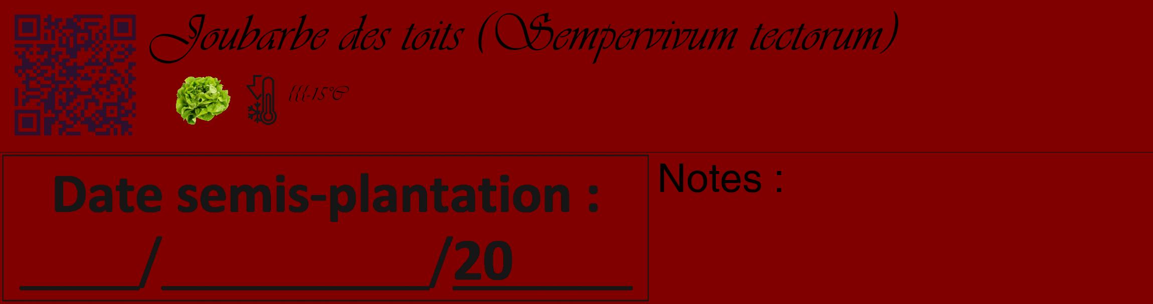 Étiquette de : Sempervivum tectorum - format c - style noire29_basique_basiqueviv avec qrcode et comestibilité simplifiée