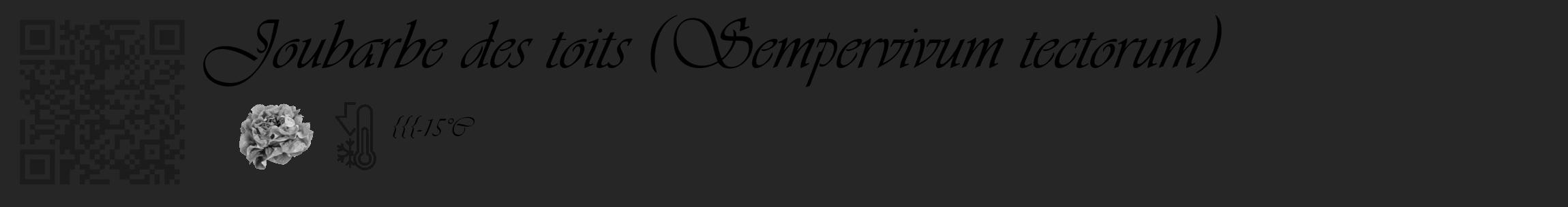 Étiquette de : Sempervivum tectorum - format c - style noire29_basique_basiqueviv avec qrcode et comestibilité simplifiée