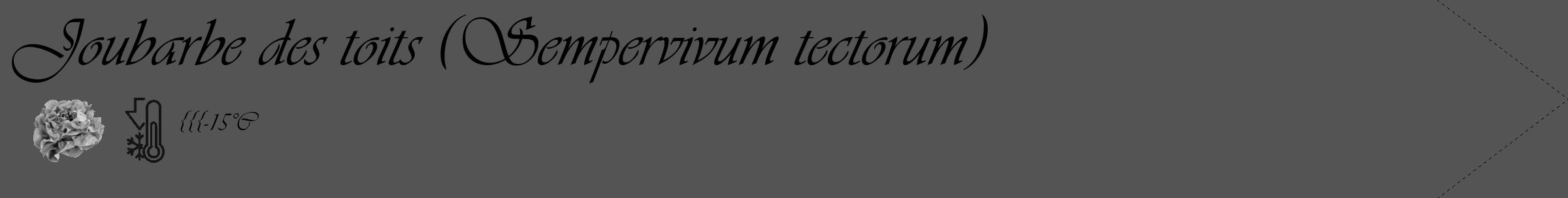 Étiquette de : Sempervivum tectorum - format c - style noire30_simple_simpleviv avec comestibilité simplifiée
