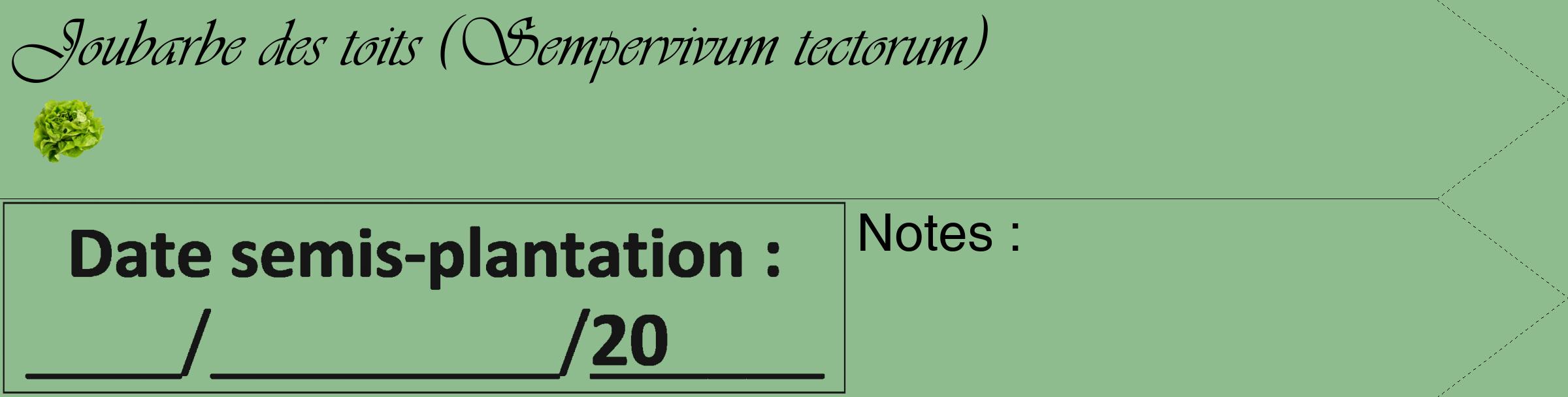 Étiquette de : Sempervivum tectorum - format c - style noire13_simple_simpleviv avec comestibilité simplifiée