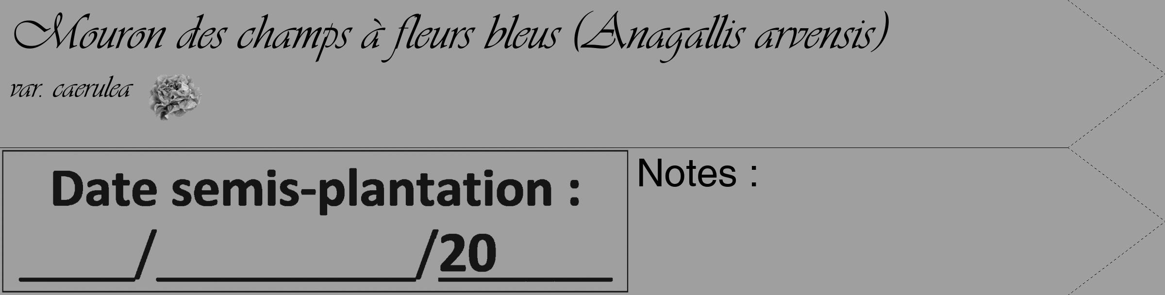 Étiquette de : Anagallis arvensis var. caerulea - format c - style noire24simple_basique_basiqueviv avec comestibilité simplifiée