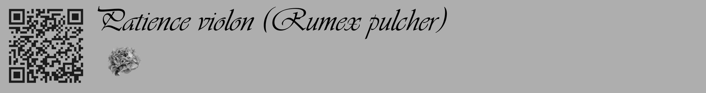 Étiquette de : Rumex pulcher - format c - style noire53_basique_basiqueviv avec qrcode et comestibilité simplifiée