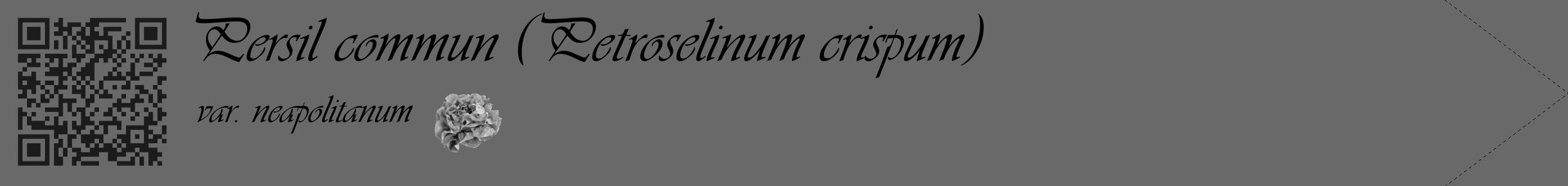 Étiquette de : Petroselinum crispum var. neapolitanum - format c - style noire11_simple_simpleviv avec qrcode et comestibilité simplifiée