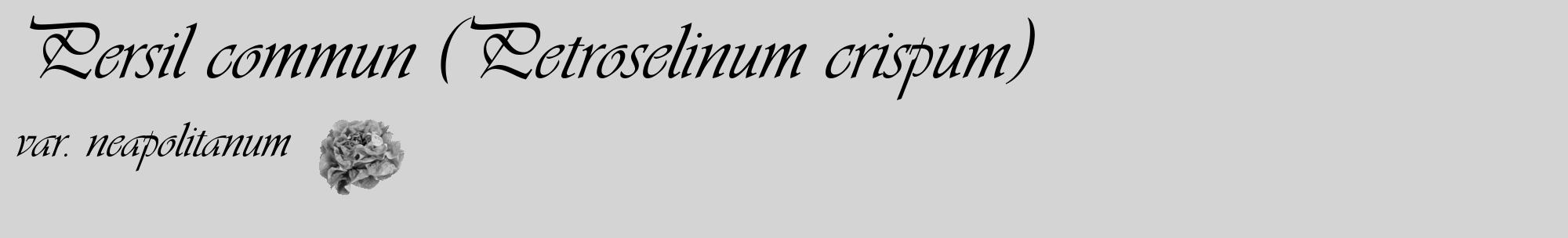 Étiquette de : Petroselinum crispum var. neapolitanum - format c - style noire40_basique_basiqueviv avec comestibilité simplifiée