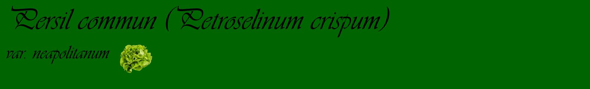 Étiquette de : Petroselinum crispum var. neapolitanum - format c - style noire8basique_basique_basiqueviv avec comestibilité simplifiée