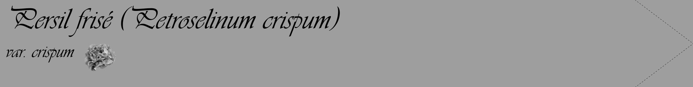 Étiquette de : Petroselinum crispum var. crispum - format c - style noire42_simple_simpleviv avec comestibilité simplifiée