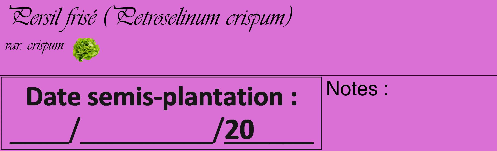 Étiquette de : Petroselinum crispum var. crispum - format c - style noire52_basique_basiqueviv avec comestibilité simplifiée