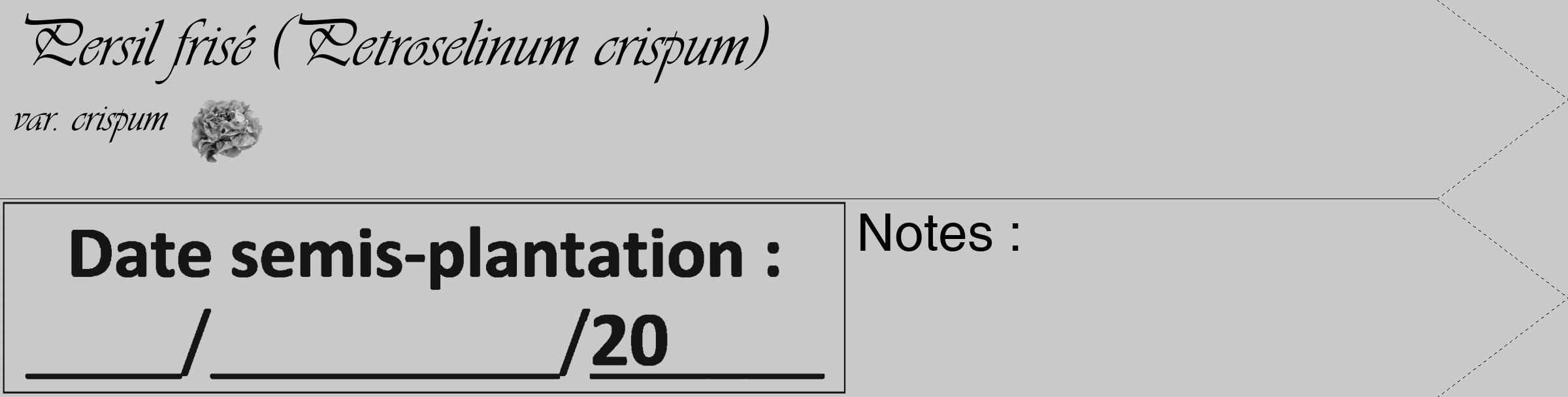 Étiquette de : Petroselinum crispum var. crispum - format c - style noire54_simple_simpleviv avec comestibilité simplifiée