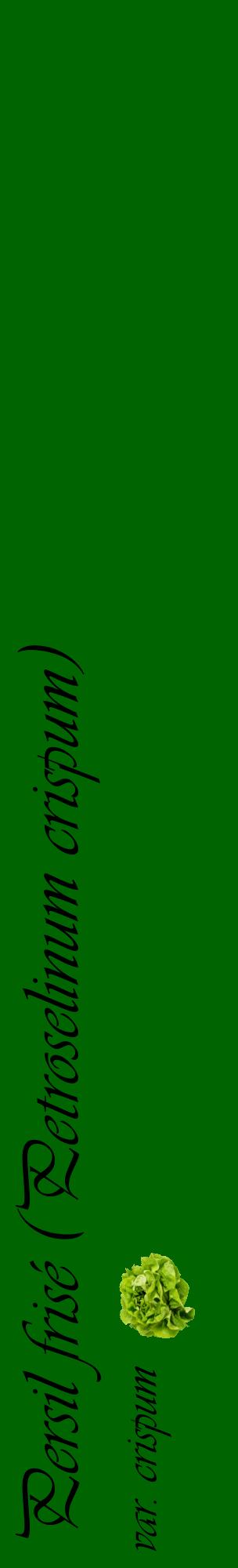 Étiquette de : Petroselinum crispum var. crispum - format c - style noire8_basiqueviv avec comestibilité simplifiée