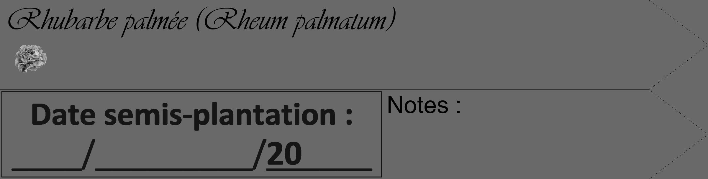 Étiquette de : Rheum palmatum - format c - style noire11_simple_simpleviv avec comestibilité simplifiée