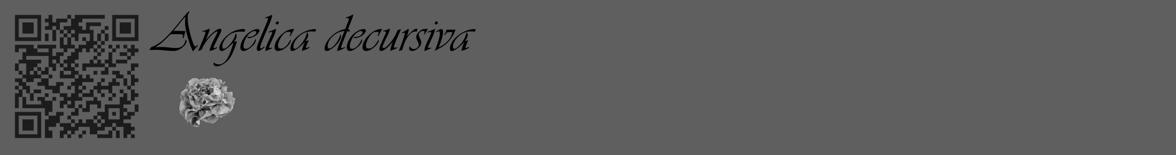 Étiquette de : Angelica decursiva - format c - style noire10_basique_basiqueviv avec qrcode et comestibilité simplifiée