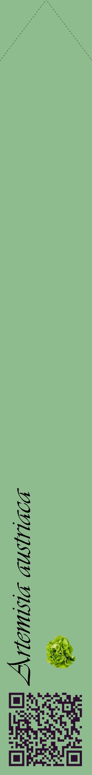 Étiquette de : Artemisia austriaca - format c - style noire13_simpleviv avec qrcode et comestibilité simplifiée