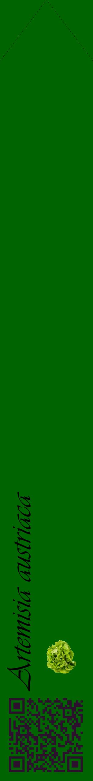 Étiquette de : Artemisia austriaca - format c - style noire8_simpleviv avec qrcode et comestibilité simplifiée