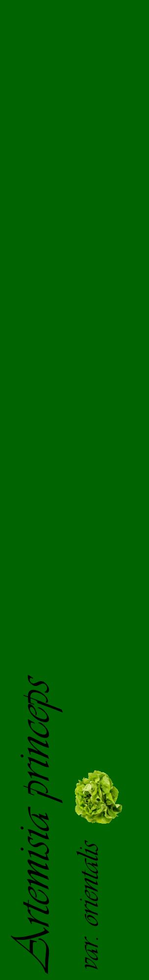 Étiquette de : Artemisia princeps var. orientalis - format c - style noire8_basiqueviv avec comestibilité simplifiée
