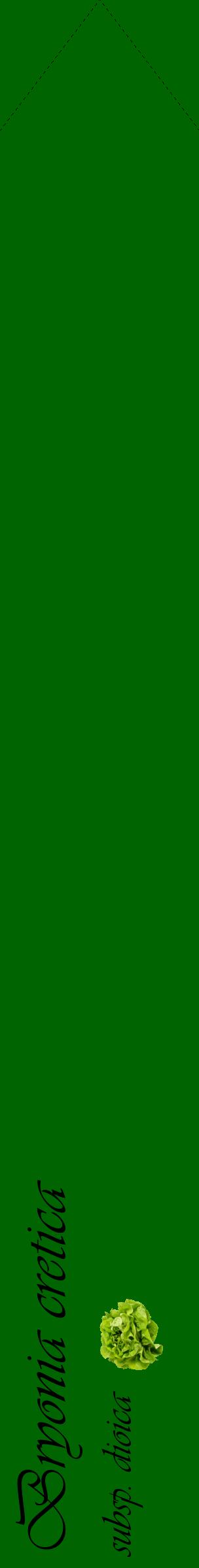 Étiquette de : Bryonia cretica subsp. dioica - format c - style noire8_simpleviv avec comestibilité simplifiée