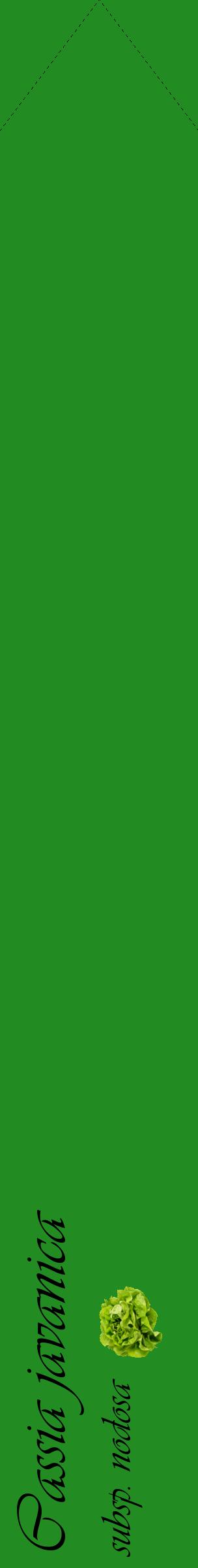 Étiquette de : Cassia javanica subsp. nodosa - format c - style noire10_simpleviv avec comestibilité simplifiée