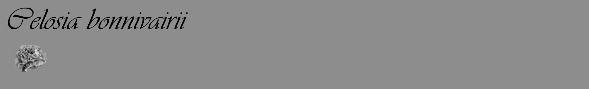 Étiquette de : Celosia bonnivairii - format c - style noire2_basique_basiqueviv avec comestibilité simplifiée