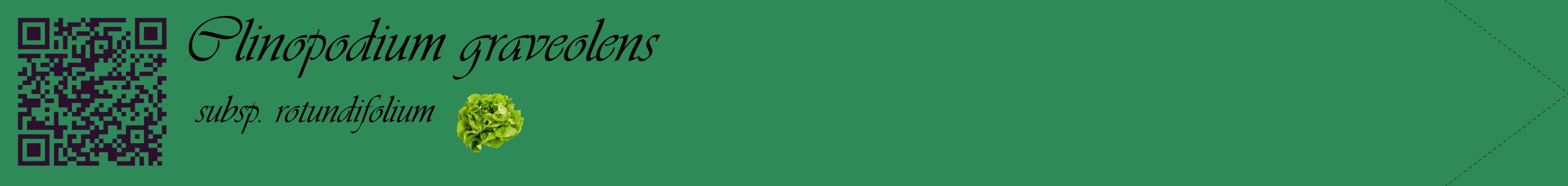 Étiquette de : Clinopodium graveolens subsp. rotundifolium - format c - style noire11simple_basique_basiqueviv avec qrcode et comestibilité simplifiée