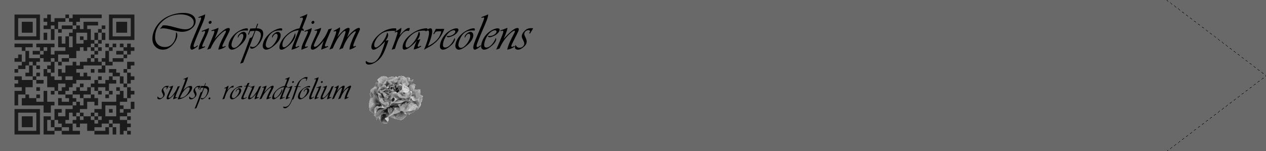 Étiquette de : Clinopodium graveolens subsp. rotundifolium - format c - style noire11simple_basique_basiqueviv avec qrcode et comestibilité simplifiée