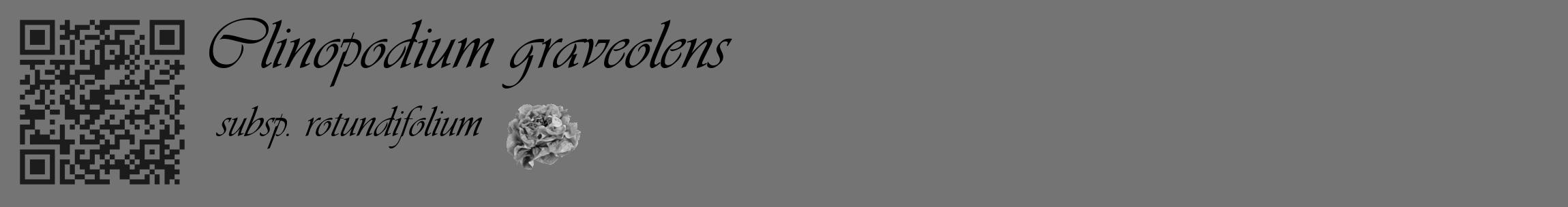 Étiquette de : Clinopodium graveolens subsp. rotundifolium - format c - style noire26_basique_basiqueviv avec qrcode et comestibilité simplifiée