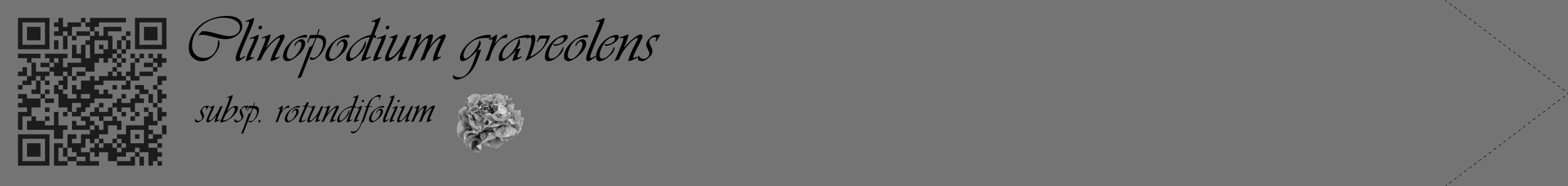 Étiquette de : Clinopodium graveolens subsp. rotundifolium - format c - style noire26_simple_simpleviv avec qrcode et comestibilité simplifiée