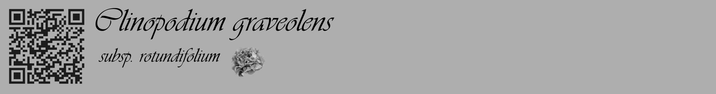 Étiquette de : Clinopodium graveolens subsp. rotundifolium - format c - style noire53_basique_basiqueviv avec qrcode et comestibilité simplifiée