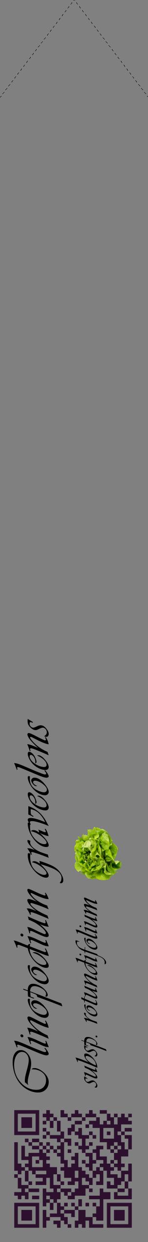 Étiquette de : Clinopodium graveolens subsp. rotundifolium - format c - style noire57_simpleviv avec qrcode et comestibilité simplifiée
