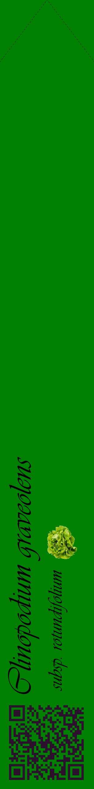Étiquette de : Clinopodium graveolens subsp. rotundifolium - format c - style noire9_simpleviv avec qrcode et comestibilité simplifiée