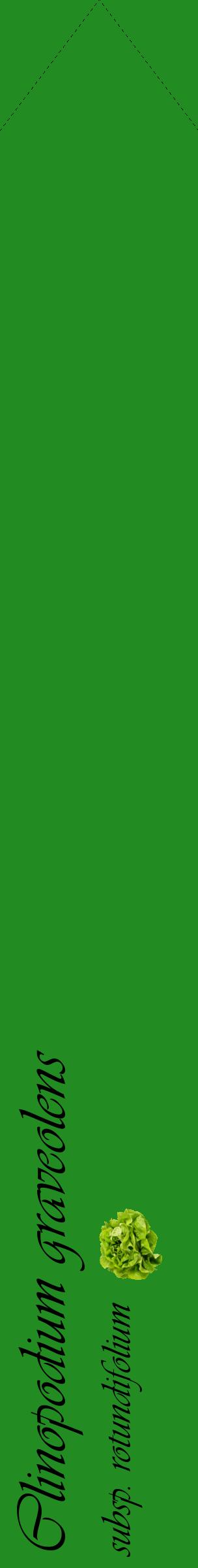 Étiquette de : Clinopodium graveolens subsp. rotundifolium - format c - style noire10_simpleviv avec comestibilité simplifiée
