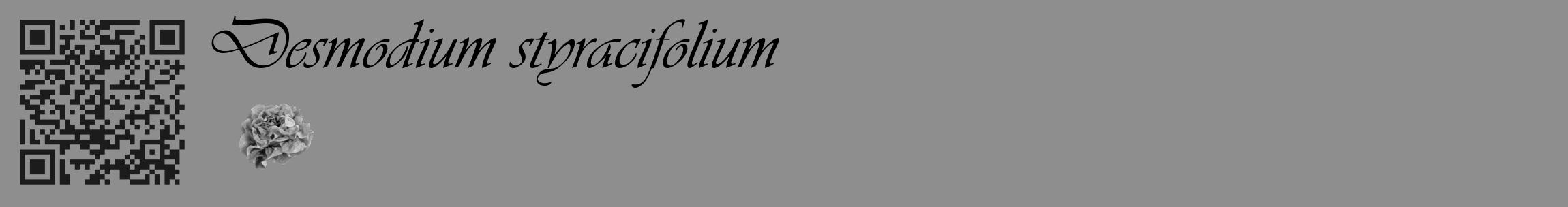 Étiquette de : Desmodium styracifolium - format c - style noire25_basique_basiqueviv avec qrcode et comestibilité simplifiée