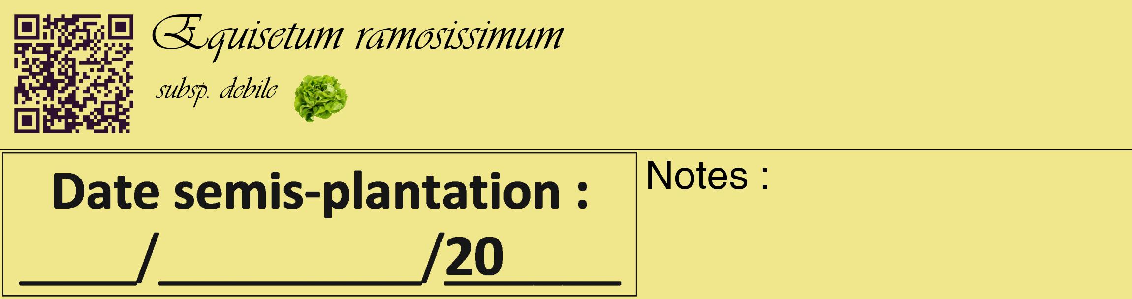 Étiquette de : Equisetum ramosissimum subsp. debile - format c - style noire20_basique_basiqueviv avec qrcode et comestibilité simplifiée