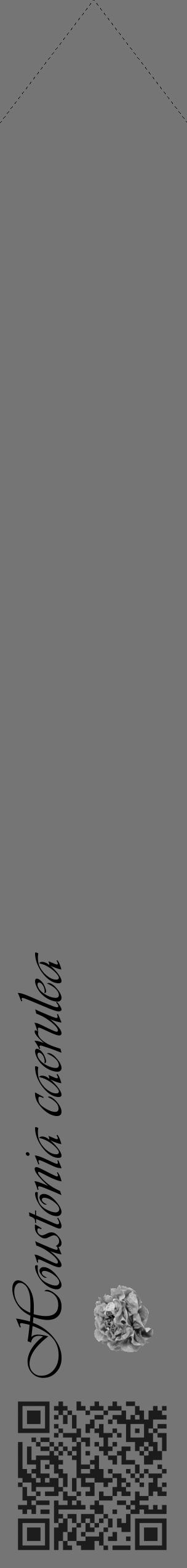 Étiquette de : Houstonia caerulea - format c - style noire5_simple_simpleviv avec qrcode et comestibilité simplifiée - position verticale