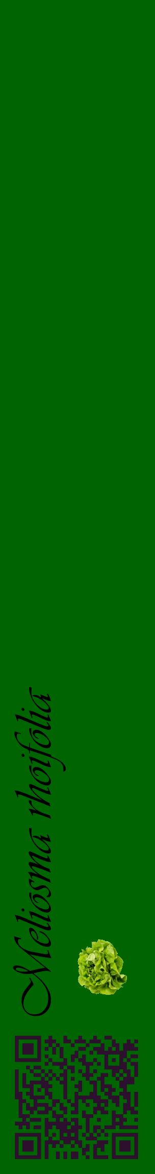 Étiquette de : Meliosma rhoifolia - format c - style noire8_basiqueviv avec qrcode et comestibilité simplifiée