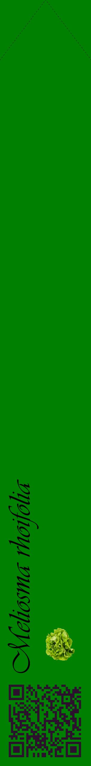 Étiquette de : Meliosma rhoifolia - format c - style noire9_simpleviv avec qrcode et comestibilité simplifiée