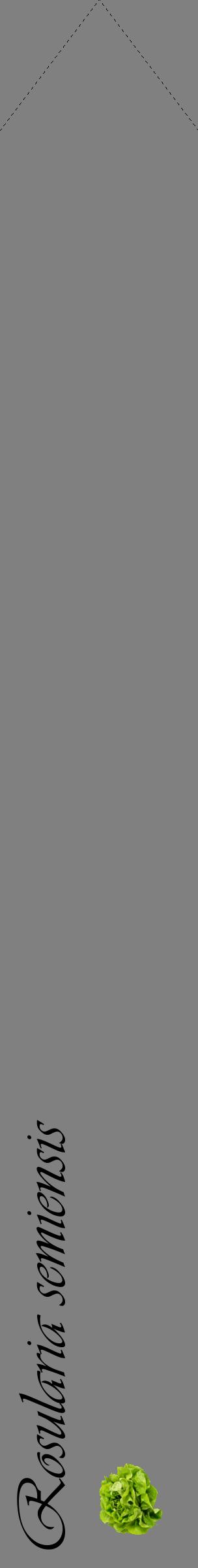 Étiquette de : Rosularia semiensis - format c - style noire57_simpleviv avec comestibilité simplifiée
