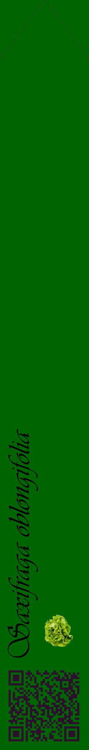 Étiquette de : Saxifraga oblongifolia - format c - style noire8_simpleviv avec qrcode et comestibilité simplifiée