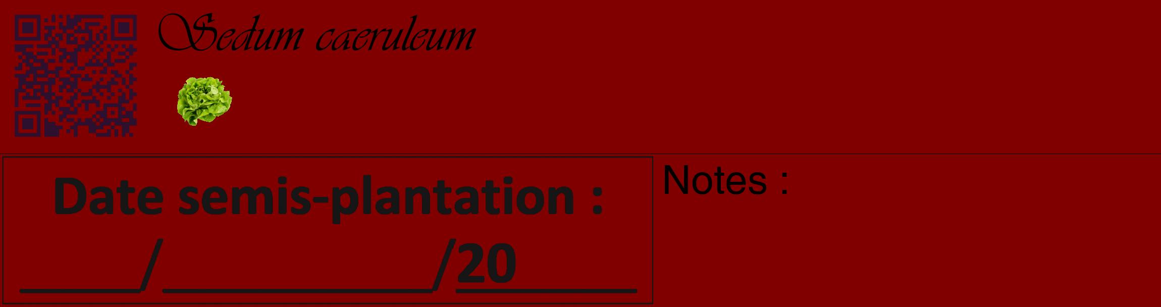 Étiquette de : Sedum caeruleum - format c - style noire29_basique_basiqueviv avec qrcode et comestibilité simplifiée