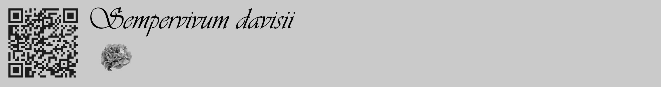 Étiquette de : Sempervivum davisii - format c - style noire21_basique_basiqueviv avec qrcode et comestibilité simplifiée