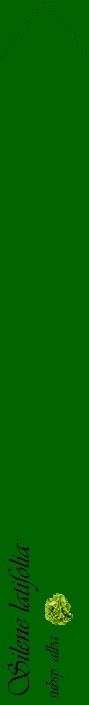 Étiquette de : Silene latifolia subsp. alba - format c - style noire8_simpleviv avec comestibilité simplifiée
