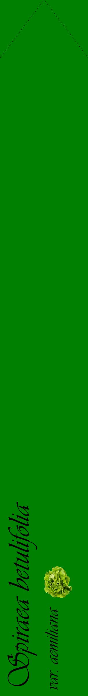 Étiquette de : Spiraea betulifolia var. aemiliana - format c - style noire9_simpleviv avec comestibilité simplifiée