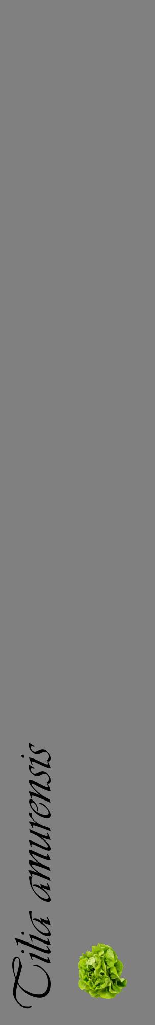 Étiquette de : Tilia amurensis - format c - style noire57_basiqueviv avec comestibilité simplifiée