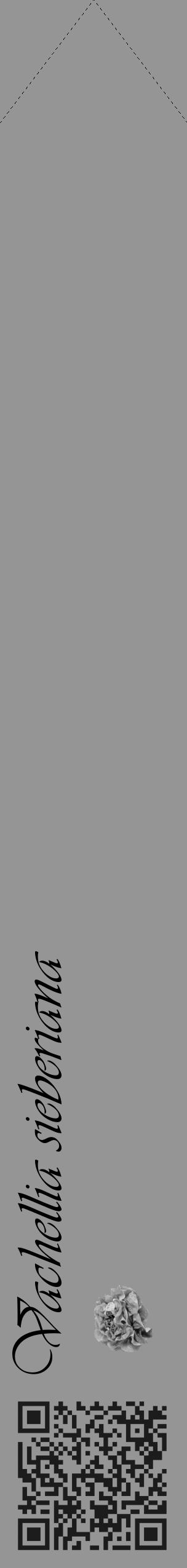 Étiquette de : Vachellia sieberiana - format c - style noire16_simple_simpleviv avec qrcode et comestibilité simplifiée - position verticale
