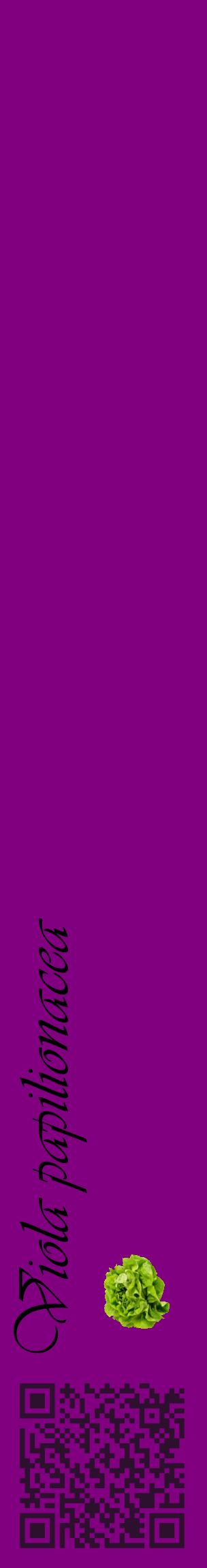Étiquette de : Viola papilionacea - format c - style noire46_basiqueviv avec qrcode et comestibilité simplifiée