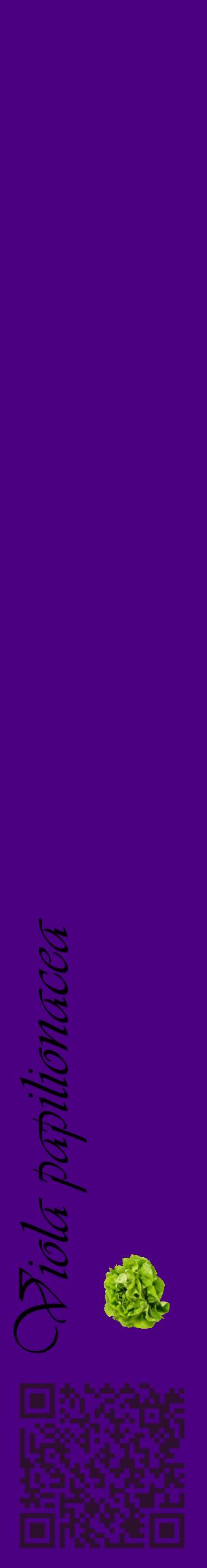 Étiquette de : Viola papilionacea - format c - style noire47_basiqueviv avec qrcode et comestibilité simplifiée