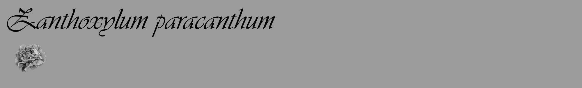 Étiquette de : Zanthoxylum paracanthum - format c - style noire52_basique_basiqueviv avec comestibilité simplifiée