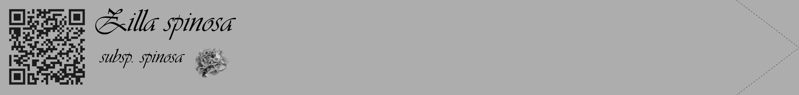 Étiquette de : Zilla spinosa subsp. spinosa - format c - style noire22_simple_simpleviv avec qrcode et comestibilité simplifiée